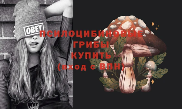 прущая мука Армянск