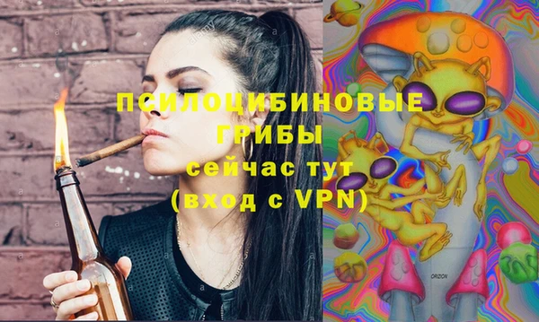 молекула духа Аркадак